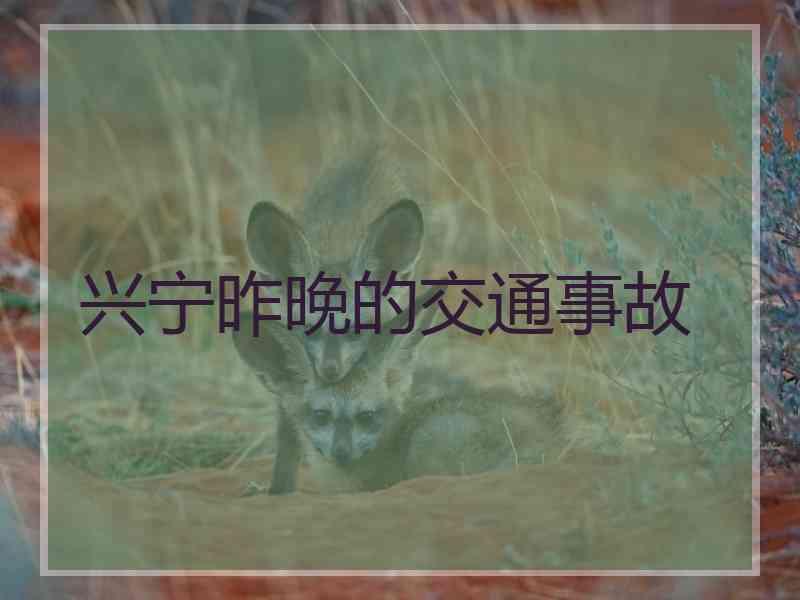 兴宁昨晚的交通事故