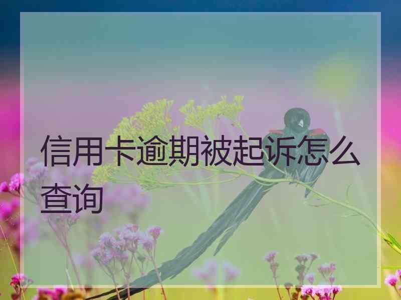 信用卡逾期被起诉怎么查询