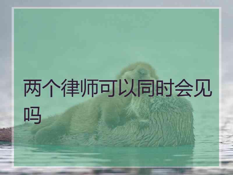 两个律师可以同时会见吗