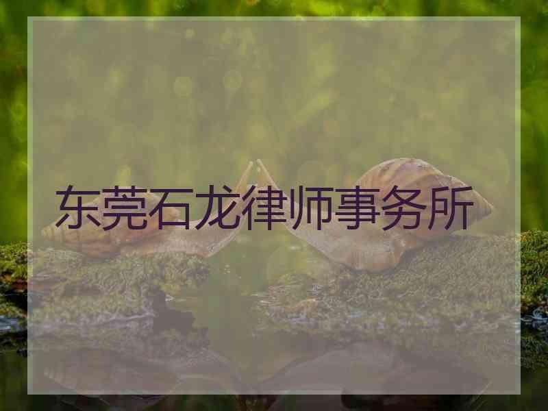 东莞石龙律师事务所