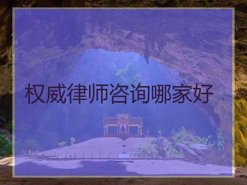 权威律师咨询哪家好