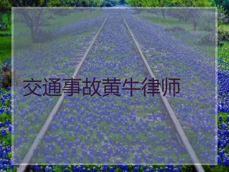 交通事故黄牛律师