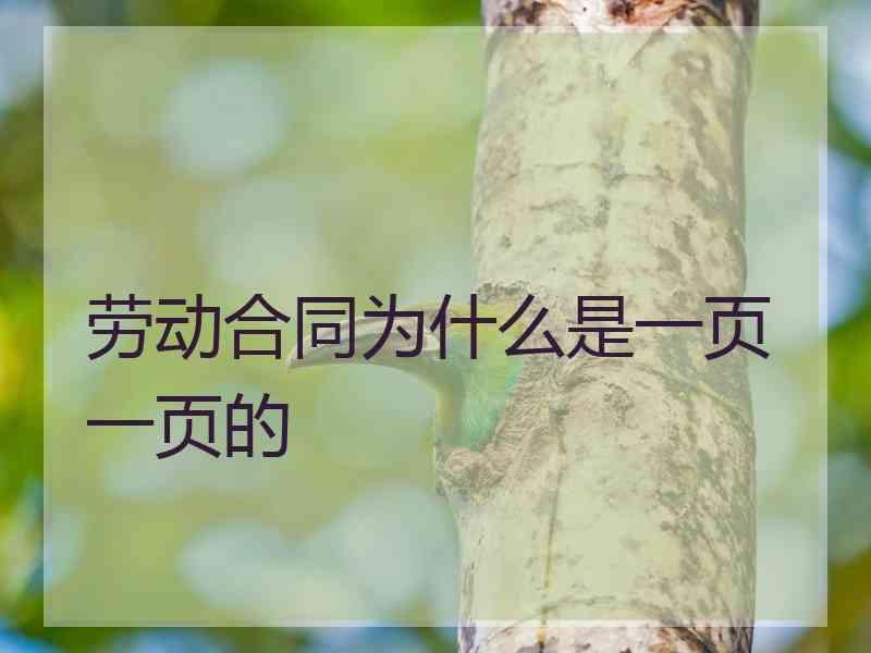 劳动合同为什么是一页一页的