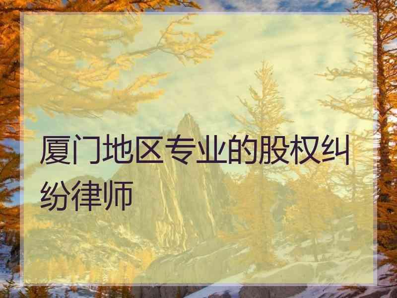 厦门地区专业的股权纠纷律师