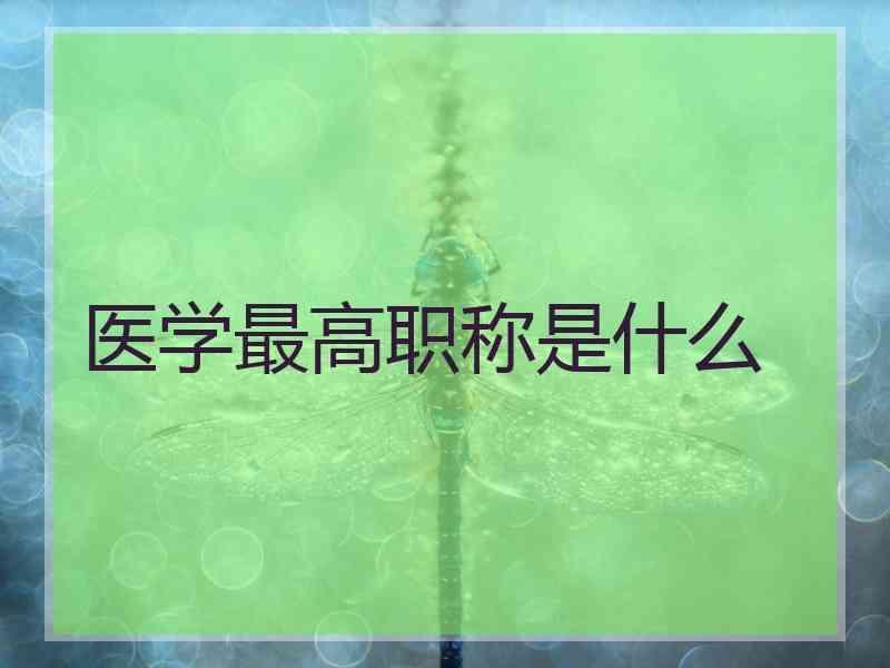 医学最高职称是什么