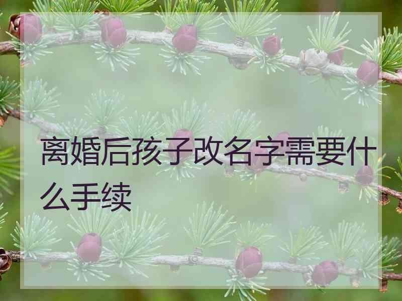 离婚后孩子改名字需要什么手续