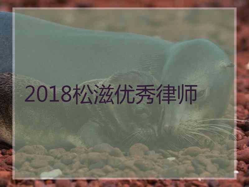 2018松滋优秀律师