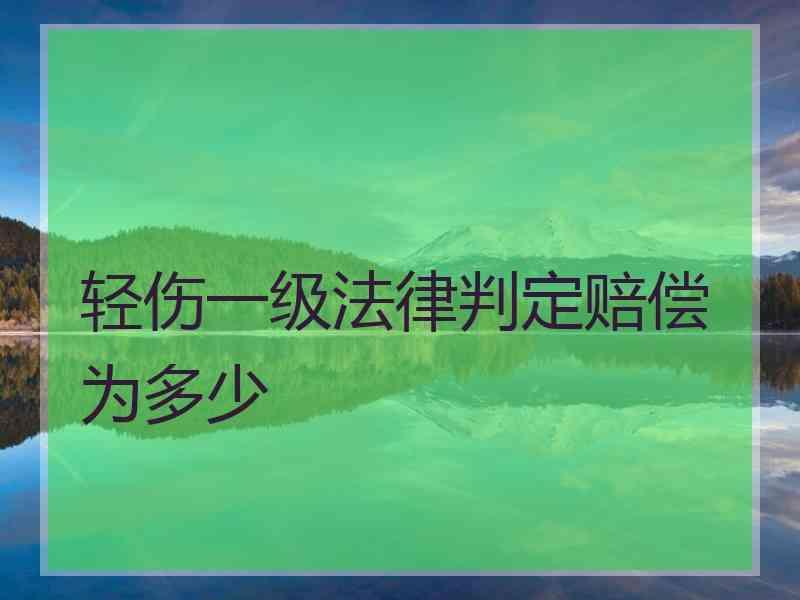 轻伤一级法律判定赔偿为多少