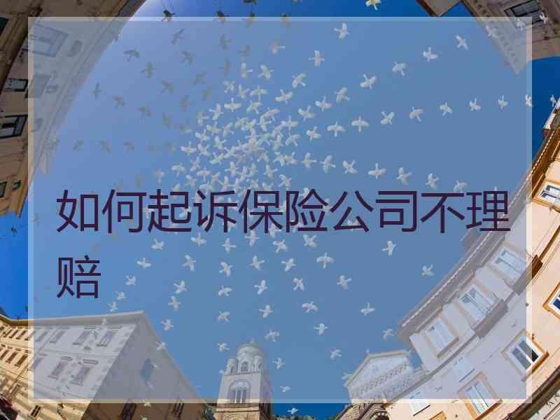 如何起诉保险公司不理赔