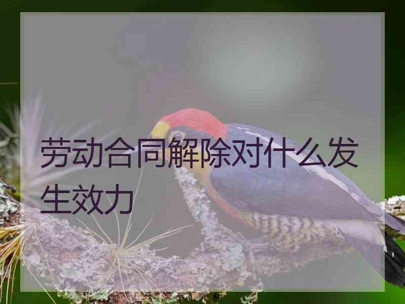 劳动合同解除对什么发生效力