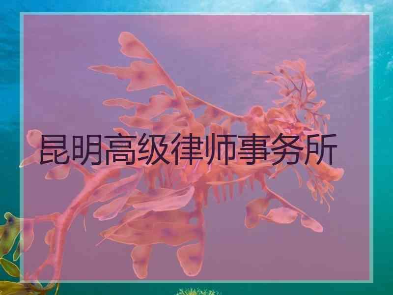 昆明高级律师事务所