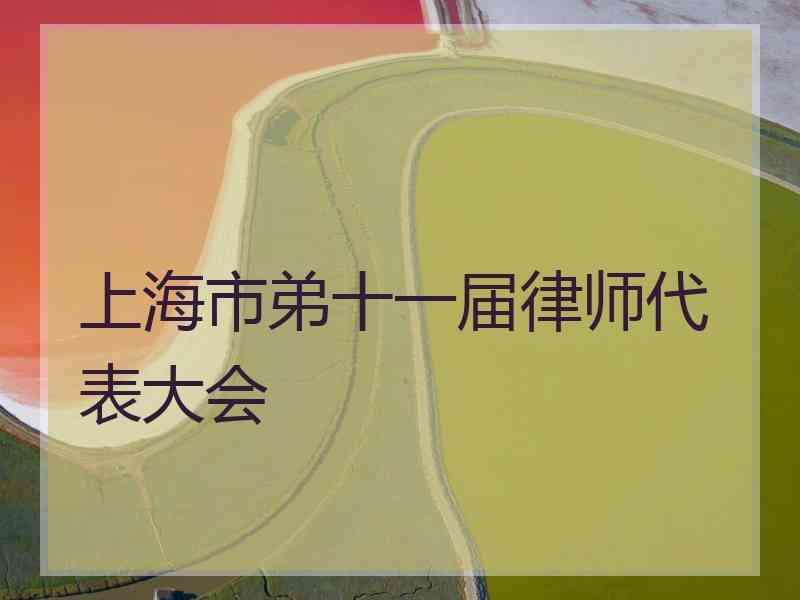 上海市弟十一届律师代表大会