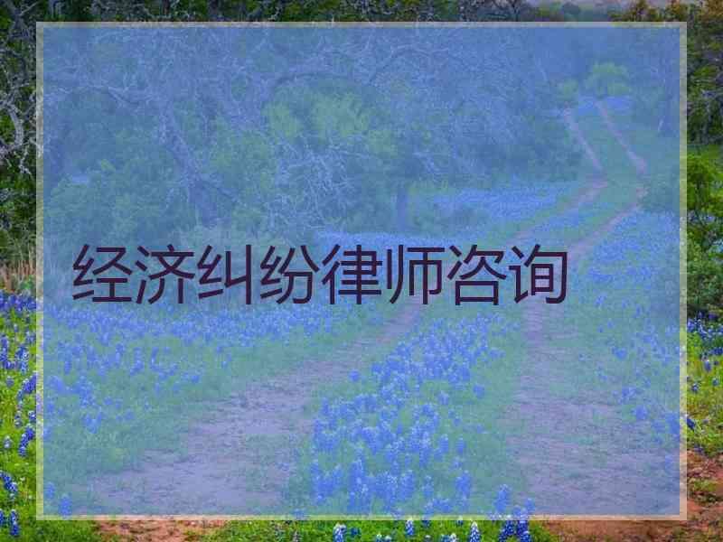 经济纠纷律师咨询