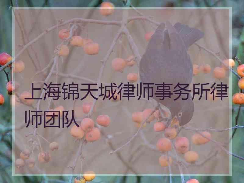 上海锦天城律师事务所律师团队