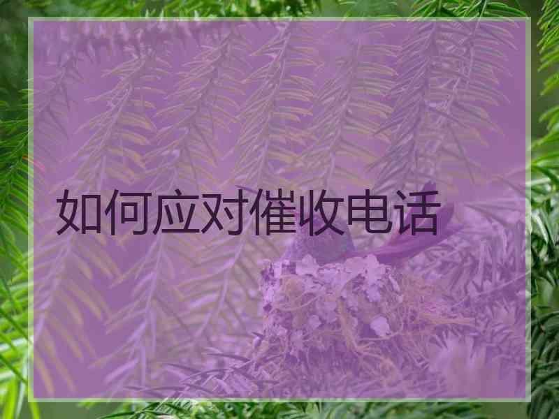 如何应对催收电话