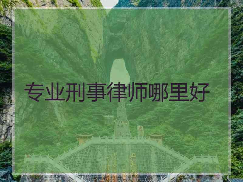 专业刑事律师哪里好