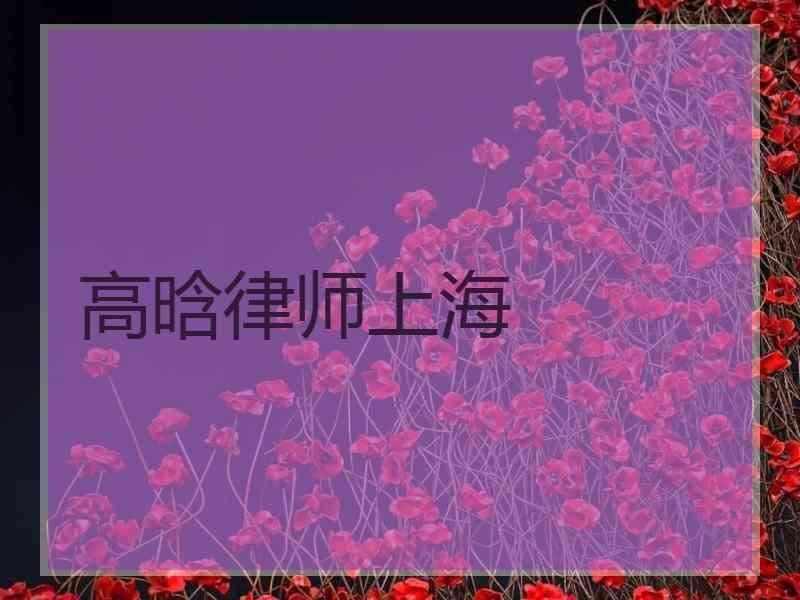 高晗律师上海