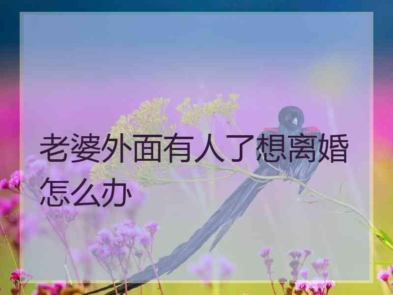 老婆外面有人了想离婚怎么办