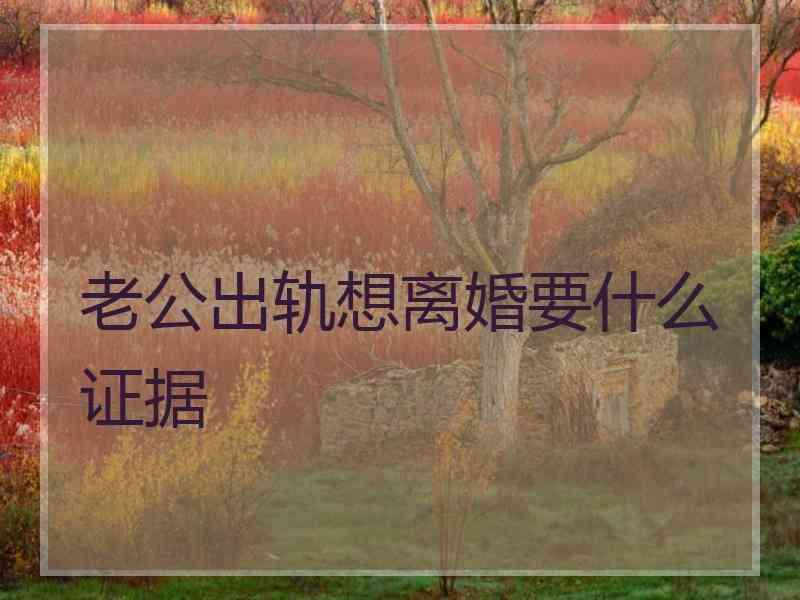 老公出轨想离婚要什么证据