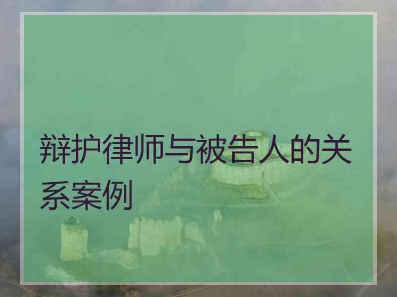 辩护律师与被告人的关系案例