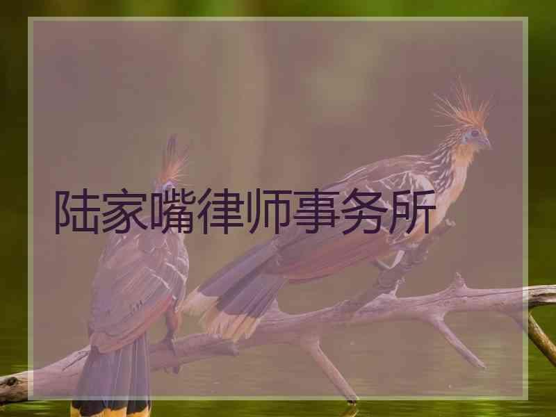 陆家嘴律师事务所