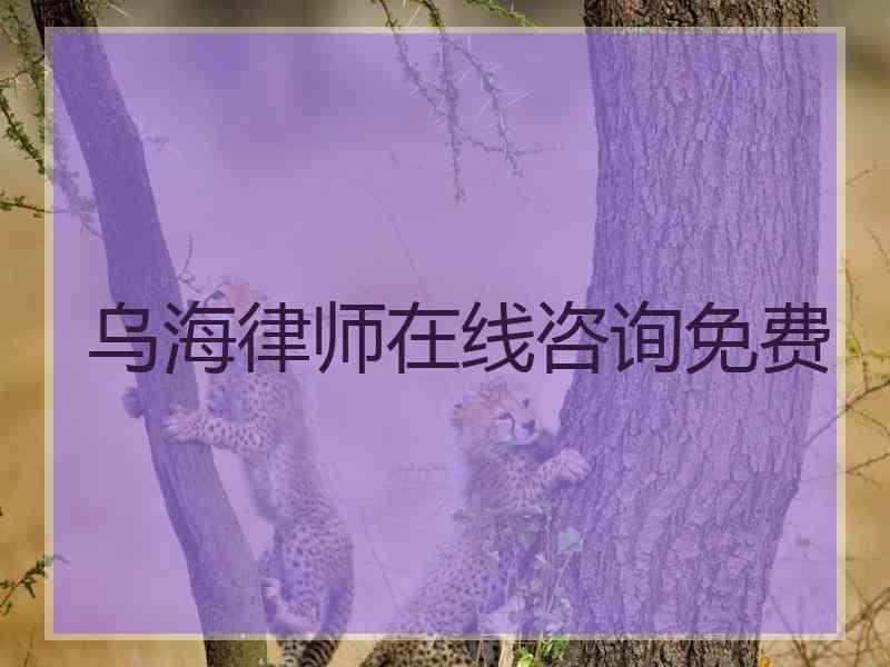 乌海律师在线咨询免费