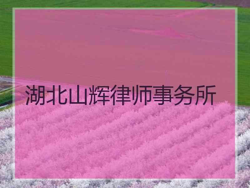 湖北山辉律师事务所