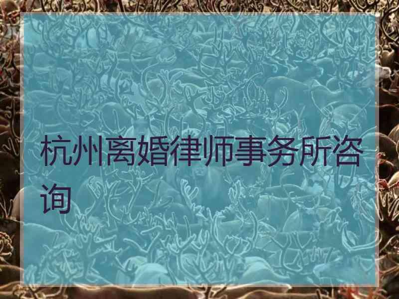 杭州离婚律师事务所咨询