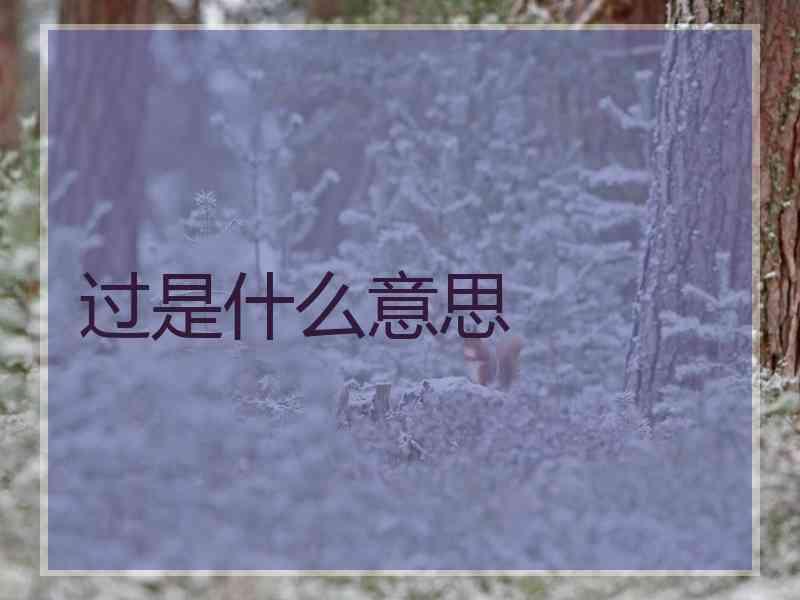 过是什么意思