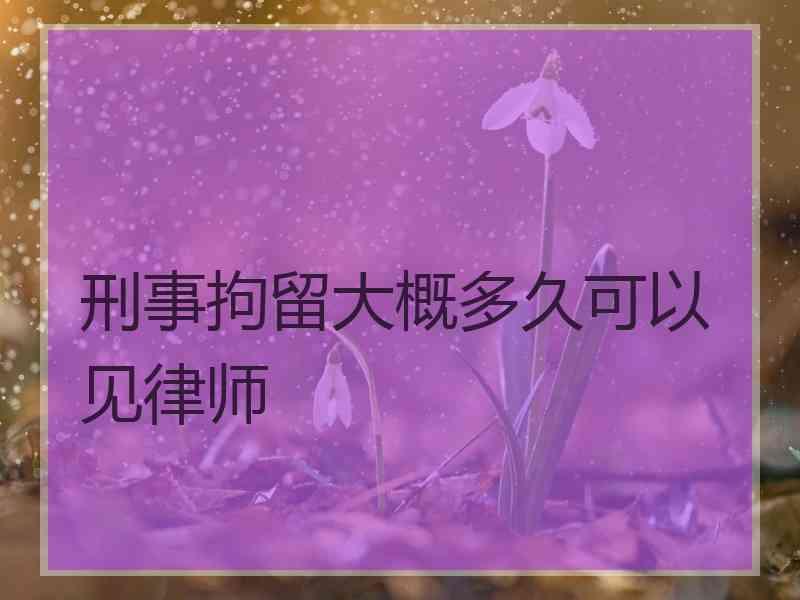 刑事拘留大概多久可以见律师