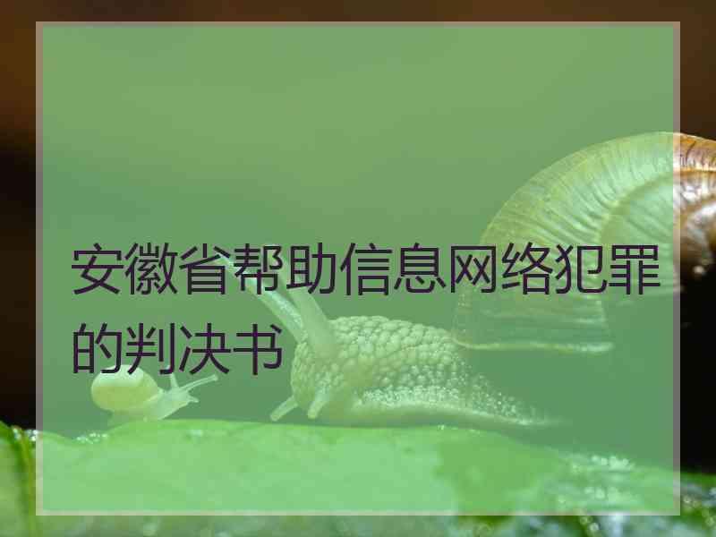 安徽省帮助信息网络犯罪的判决书