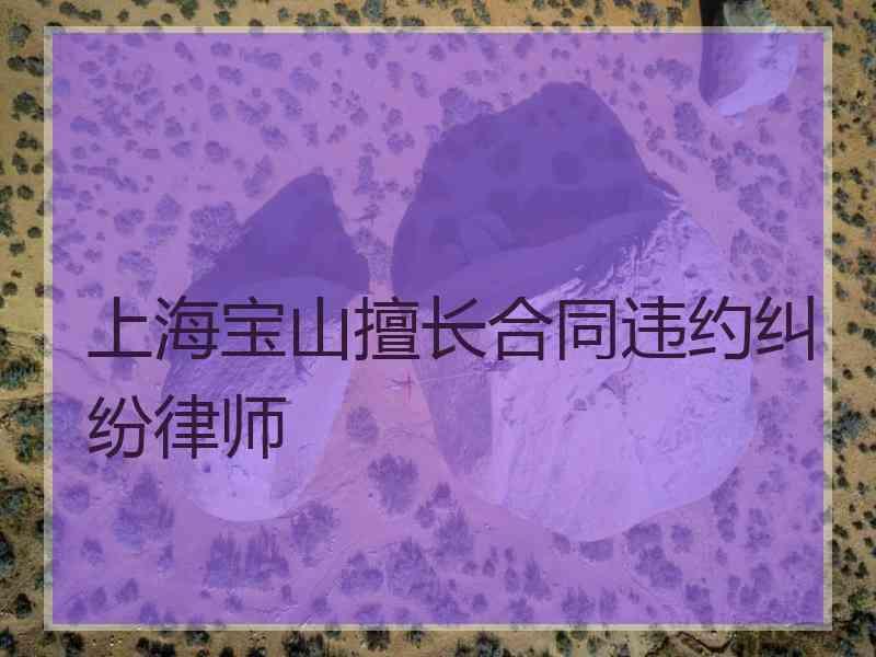 上海宝山擅长合同违约纠纷律师