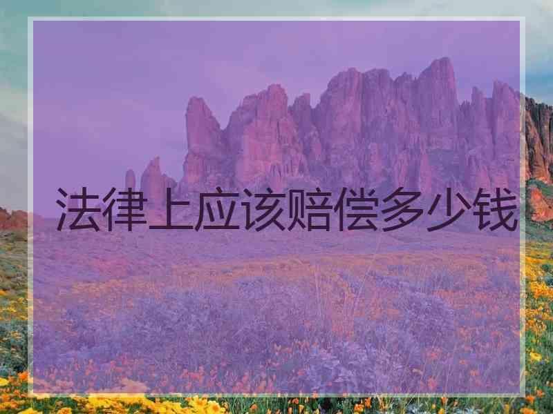 法律上应该赔偿多少钱