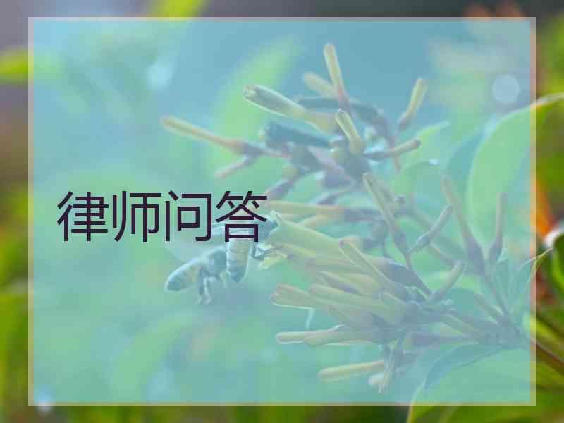 律师问答