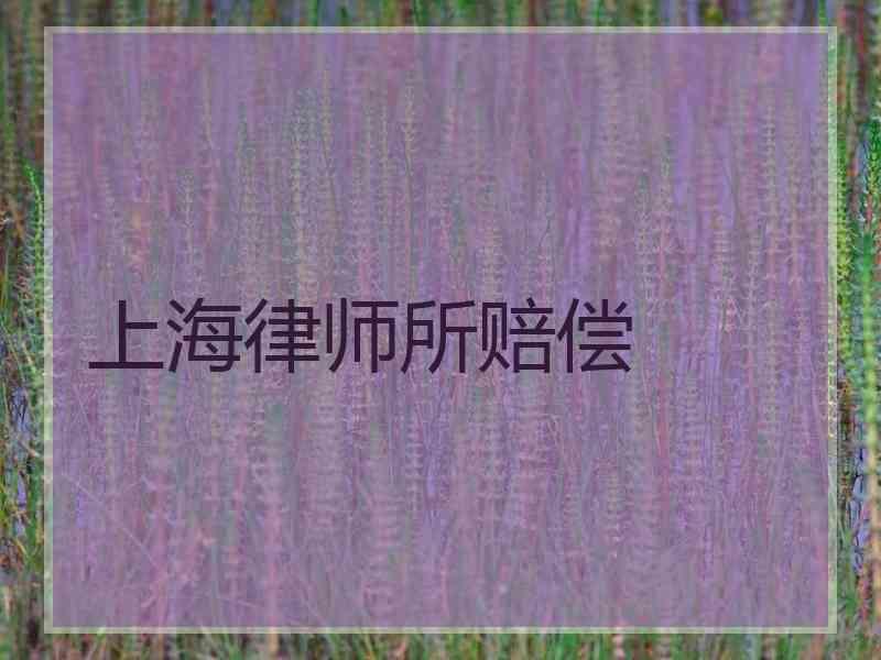 上海律师所赔偿