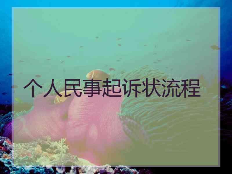 个人民事起诉状流程