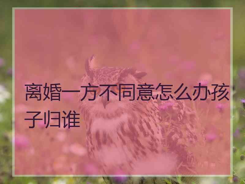 离婚一方不同意怎么办孩子归谁
