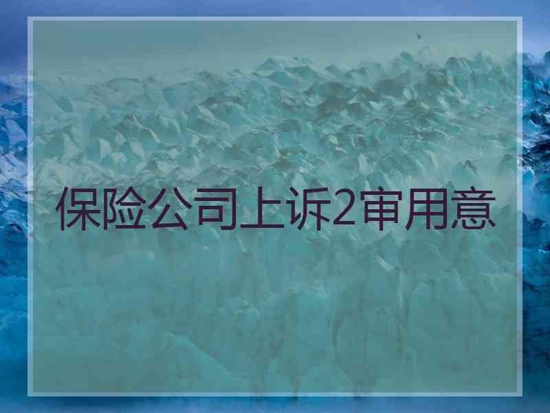 保险公司上诉2审用意