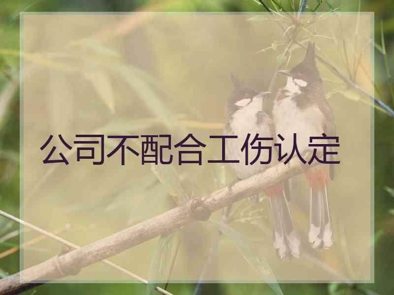 公司不配合工伤认定