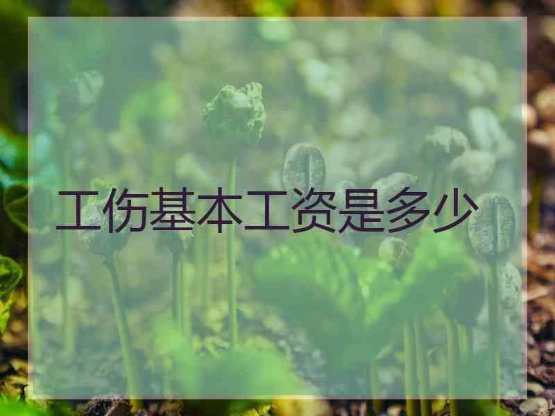 工伤基本工资是多少