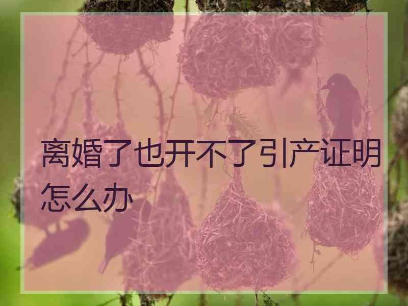 离婚了也开不了引产证明怎么办