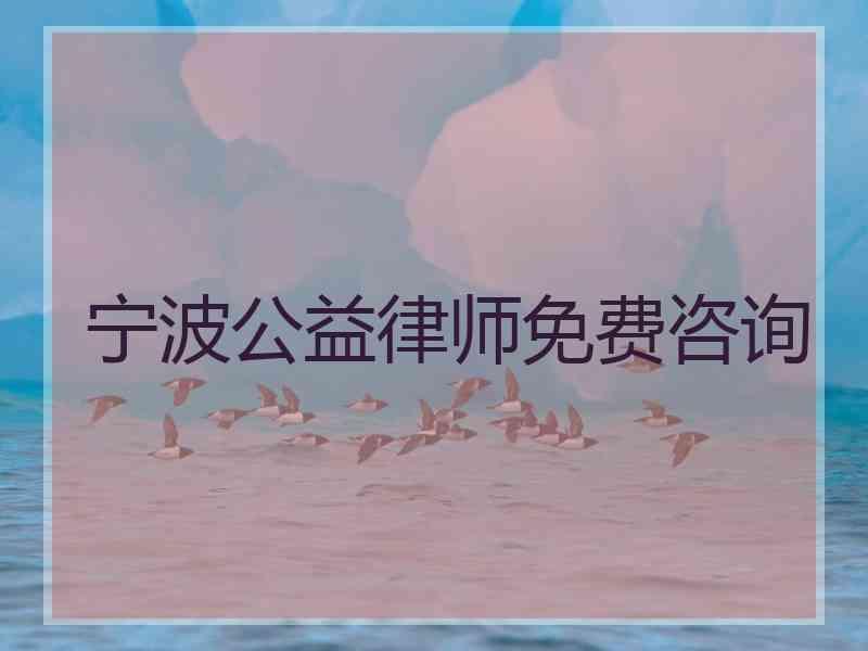 宁波公益律师免费咨询