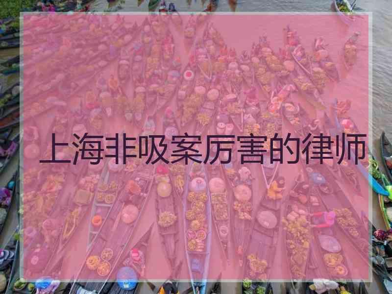 上海非吸案厉害的律师