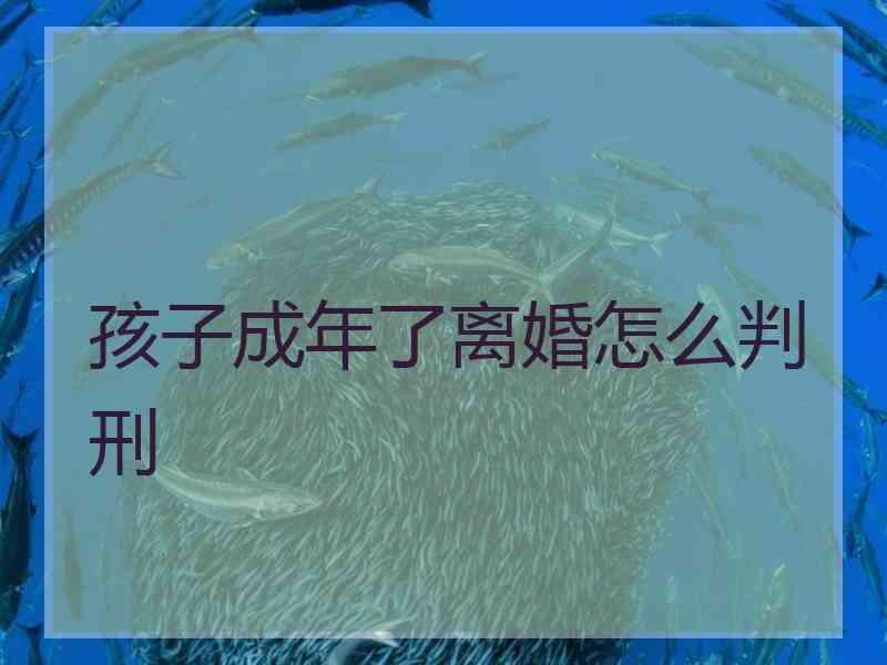 孩子成年了离婚怎么判刑