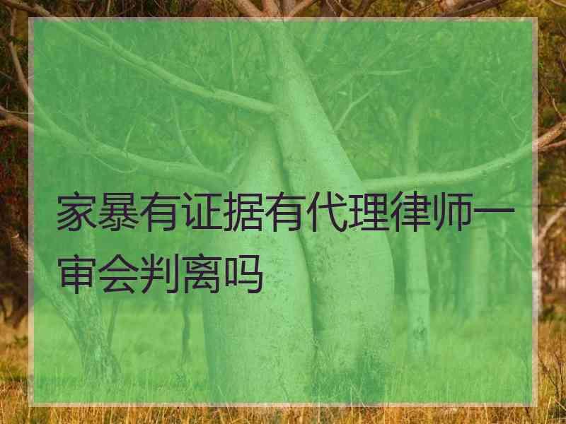 家暴有证据有代理律师一审会判离吗