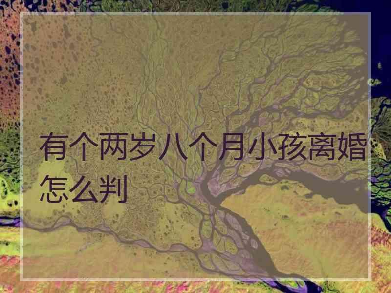 有个两岁八个月小孩离婚怎么判