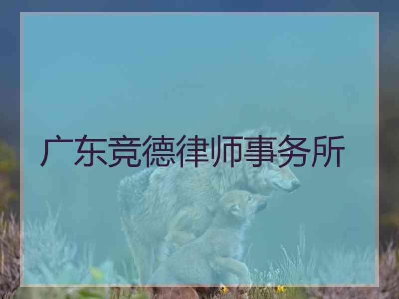 广东竞德律师事务所