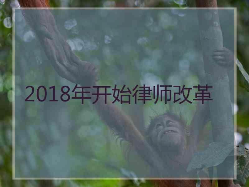 2018年开始律师改革