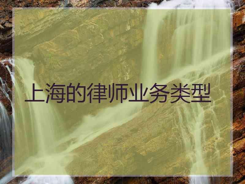 上海的律师业务类型