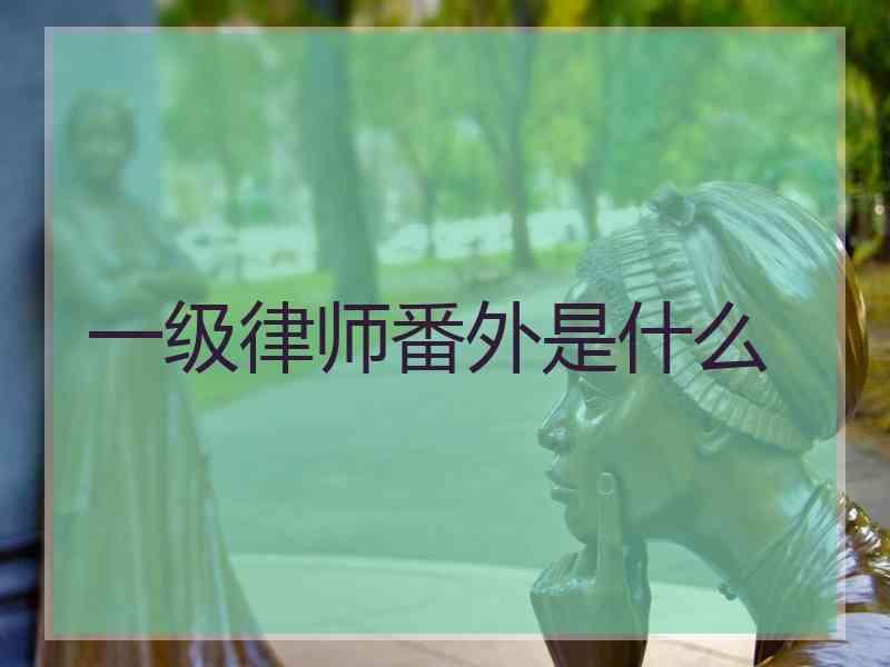 一级律师番外是什么